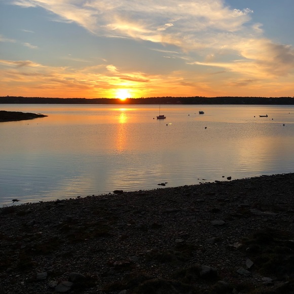 Meet your Posher, Thea - Picture 1 of 1